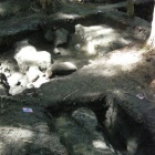 都合山たたら　新遺構説明会＜終了しました＞