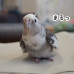 NEW!ユニブログ