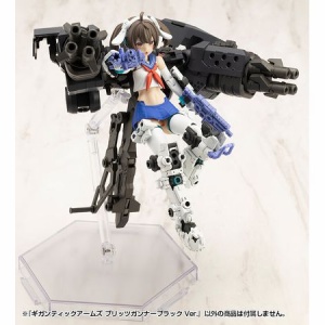 星と翼のパラドクス　ソリディア　プラモデルキット　未開封　特典付き プラモデル】星と翼のパラドクス XZM-011 ソリディア | アニメイト