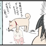 柴犬どんぐり三毛猫たんぽぽ