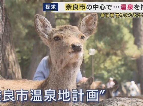 奈良市「観光客が奈良に泊まってくれない。温泉を探そう」