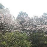 ��2017.04.07 �����餤�ơ����ޥ�󥰥å��٤β���