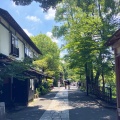 自然いっぱい深大寺