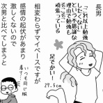 嫁激（とつげき）★北フランス家族