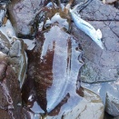 ギャングが、、、最悪です。（滝汗）