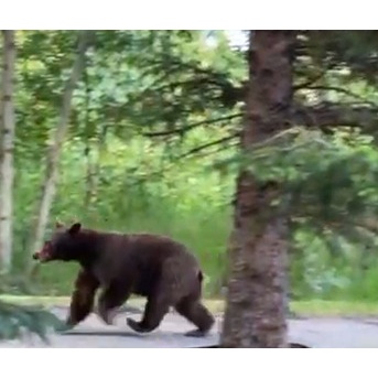 こんな所には住みたくない