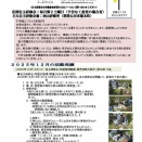 常陸どこ竹ニュース（２０２６年１月特集号）発行