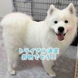 『ライトくんトライアルおめでとう🩵』の画像