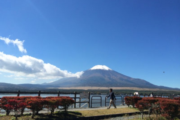ひまわり山中湖店リゾート日記 15