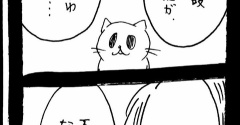 どうしても保護猫を迎えたかった知人の話15
