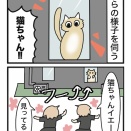 お向かいのお猫ちゃん