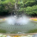 第四日曜日は花鳥例会、日比谷公園内図書館文化館４階会議室にて