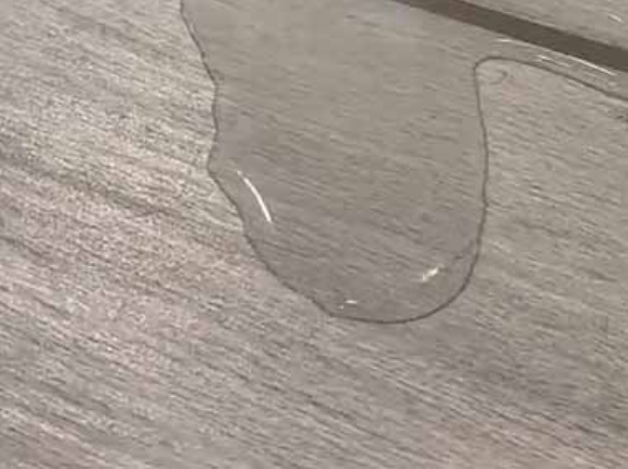 家の中の床に水が流れてきた。やだぁ！どこかで水漏れしている！？ → 違いました…