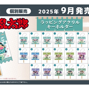 忍たま乱太郎 ねーむシリーズ アクリルネーム 忍たま乱太郎 ねーむシリーズ アクリルネーム 忍たま乱太郎 ねー
