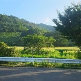 『夏休みでした』の画像