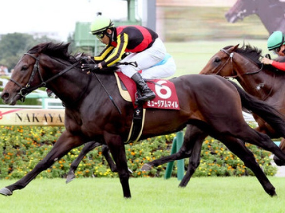 【競馬予想】[5]第172回天皇賞(秋)(GⅠ) /2025