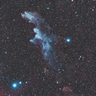 『エリダヌス座の魔女の横顔星雲（IC2118） ☆彡』の画像