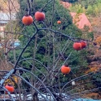 Mountain&Cycle-Guide-ARI