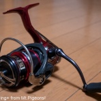 Flyfishing+ from Mt.Pigeons!