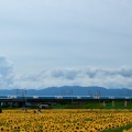SparkLing  Dreams  Shinkansen：8/9②