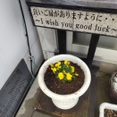 雨が降って来ちゃったよ　Σ(￣ロ￣lll)ｶﾞｰﾝ