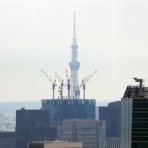 東京スカイツリー定点観測所