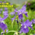 暦‐2026年4月30日
