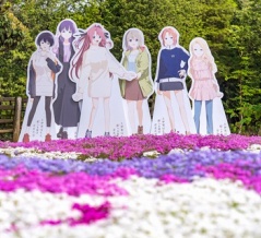 上伊那ぼたん、酔へる姿は百合の花　聖地巡礼