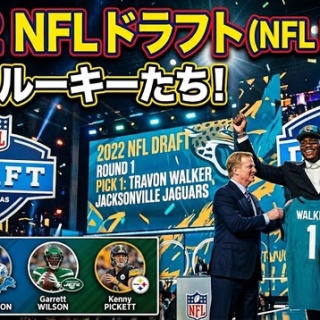 🐕 茶犬 🐕 NFLブログ