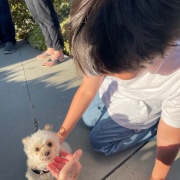 不幸から一変させた家族愛