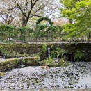 今の小学校は朝食を提供するんですね