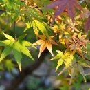 これから・・・