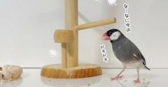 時間をかけて食べれば大丈夫？