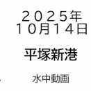 2025/10/14　平塚新港