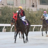 『【遠征結果】大井競馬場・東京2歳優駿牝馬に、ホッカイドウ競馬から3頭が出走しました』の画像