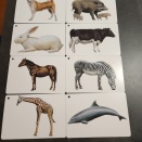 新しいカードで…お腹がすいちゃいます～！！