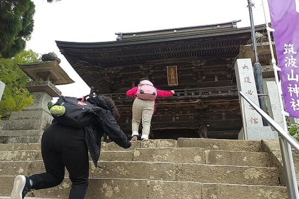 早稲田 筑波山登山 福祉型カレッジ ゆたかカレッジ の日々