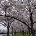 昼喰らいまぁ〜♪