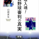『NPBは「リプレーセンター」を開設へ』の画像