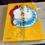 南の海で潜りたい