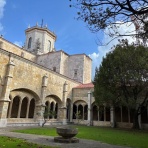 やまぶきシニアトラベラー