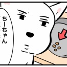 🐶 シニア犬の食事こだわり｜ちーちゃんがご飯を残す理由と工夫🍚