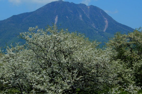 塩原温泉 彩つむぎ 女将の独り言 奥日光戦場ヶ原