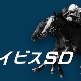 『アイビスＳＤ(G3)【掟破りの金になる話】』の画像