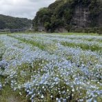 渚屋Blog