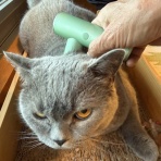 広東省でゴルフ&ヨガ&猫