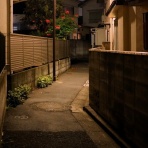 夜散歩のススメ