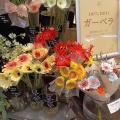 ガーベラは10月の誕生花＆松屋「ネオカシミールカレー」