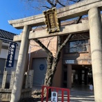 わんことアロマと手ごねパン