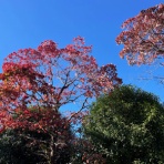 暮らしとわたし＊50代からシンプルライフ